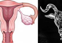 Immagini divertenti sulle mestruazioni