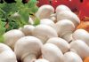 How to store mushrooms - useful tips