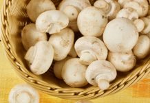 Which mushrooms can be frozen and which are not worth it